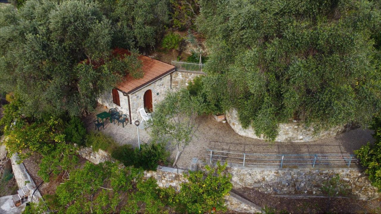 U Ciousu By Ligurian Life Appartamenti In Agriturismo Vallebona 外观 照片