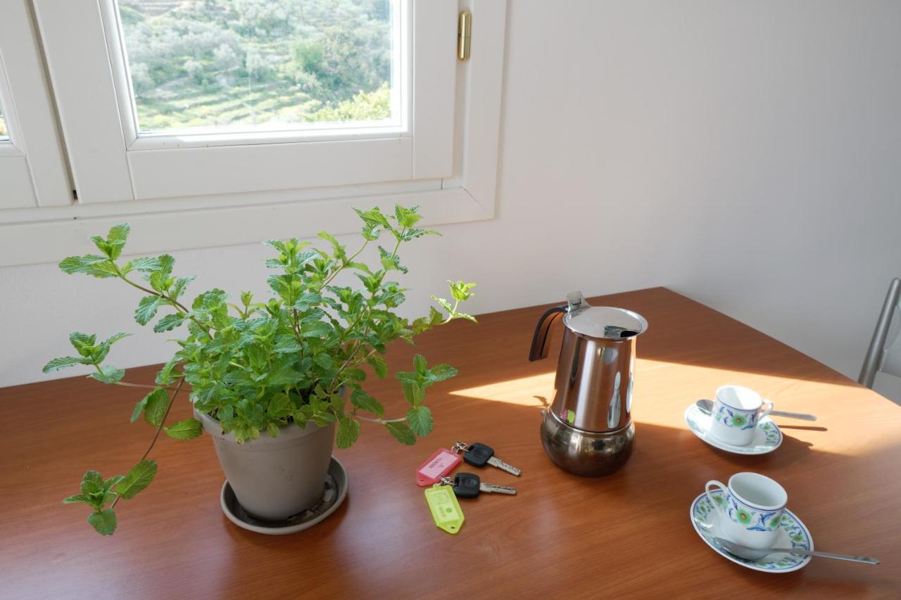 U Ciousu By Ligurian Life Appartamenti In Agriturismo Vallebona 外观 照片