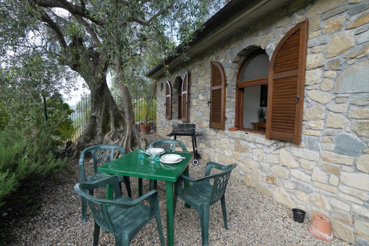 U Ciousu By Ligurian Life Appartamenti In Agriturismo Vallebona 外观 照片