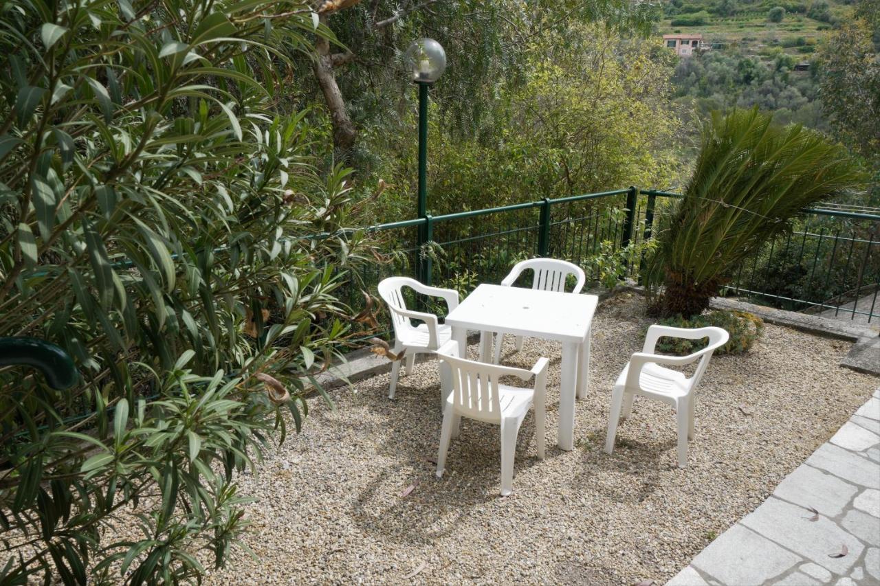 U Ciousu By Ligurian Life Appartamenti In Agriturismo Vallebona 外观 照片
