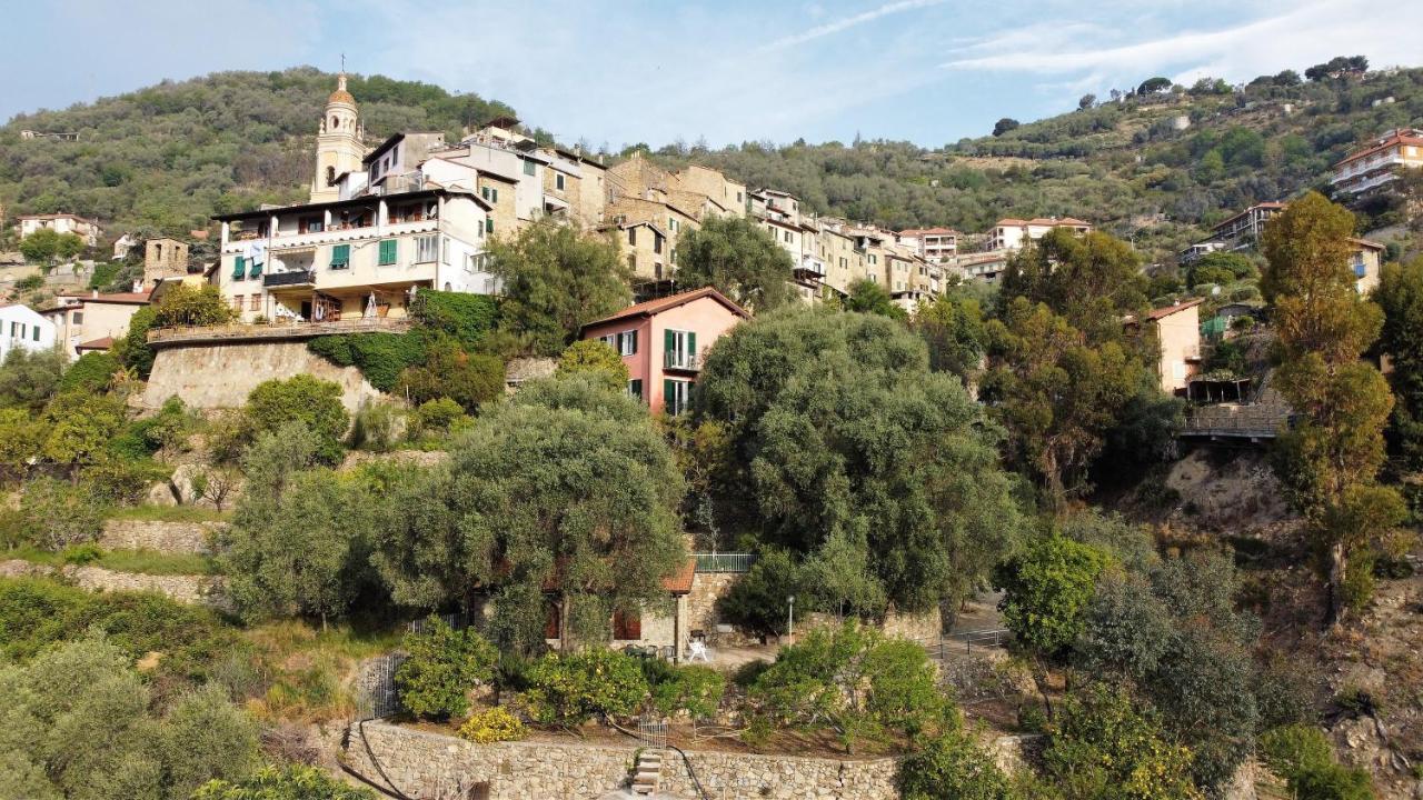 U Ciousu By Ligurian Life Appartamenti In Agriturismo Vallebona 外观 照片