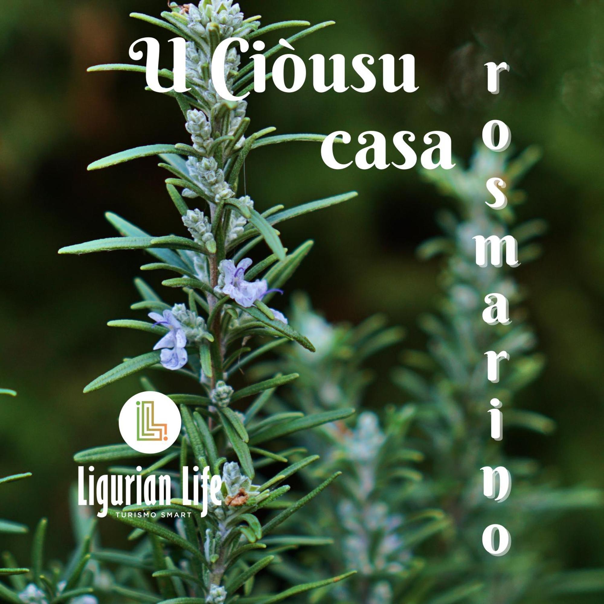 U Ciousu By Ligurian Life Appartamenti In Agriturismo Vallebona 客房 照片